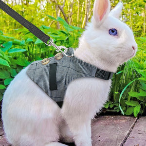 Rabbit Harness Vest
