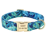 Dog Collar Personalized