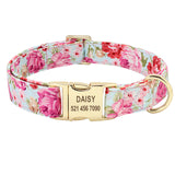 Dog Collar Personalized