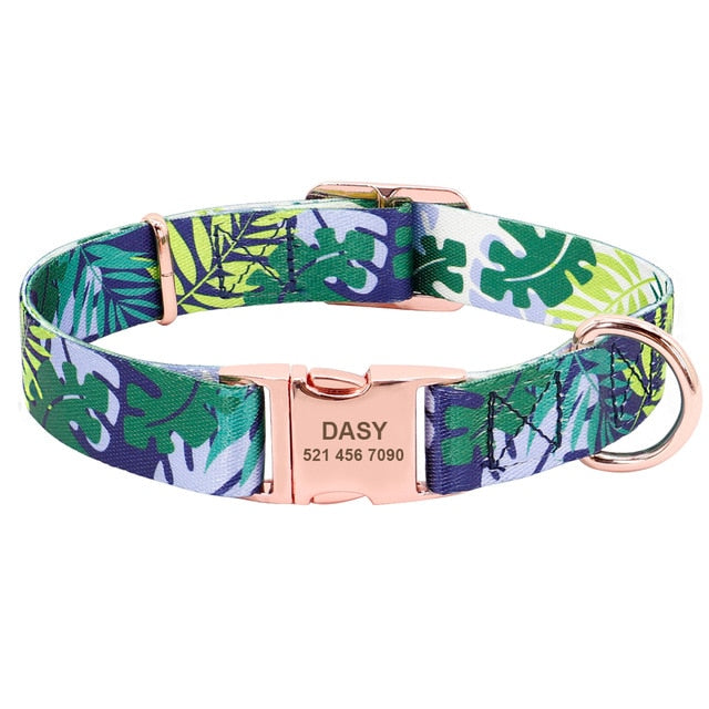 Dog Collar Personalized