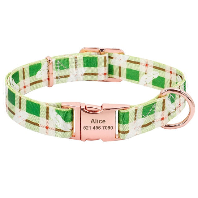 Dog Collar Personalized